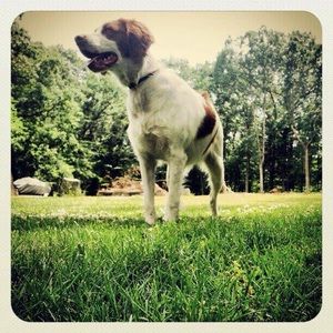 Meet your Posher, Zachary